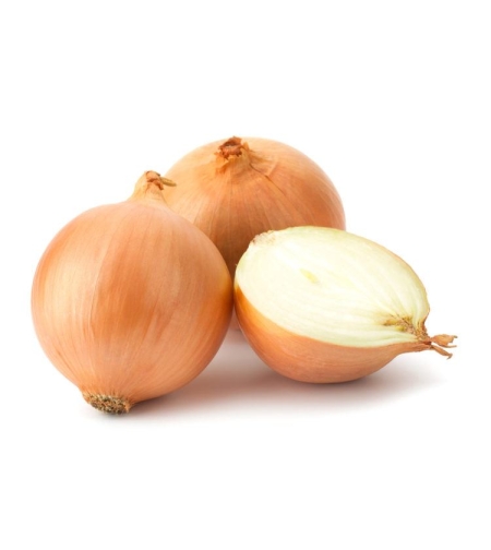 בצל לבן ריברסייד - ק'ג