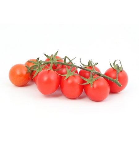 עגבניות שרי - ק'ג