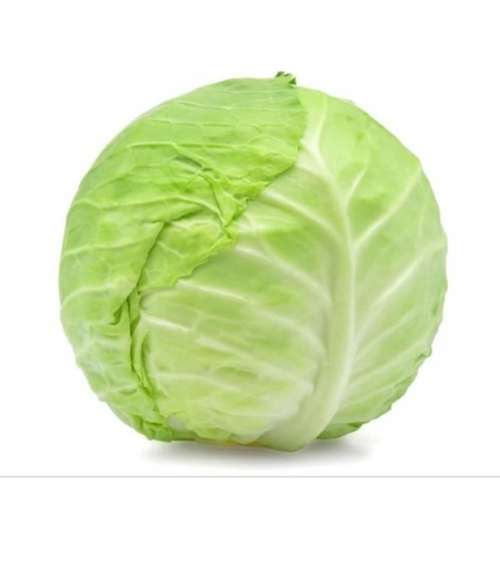 כרוב לבן - ק'ג