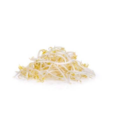 נבטים סינים