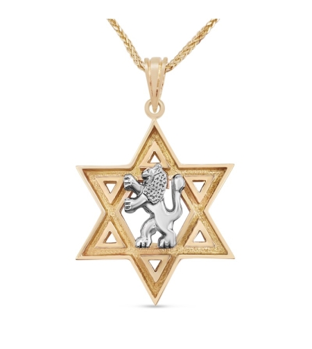Star of David and White Gold Lion of Judah Pendant