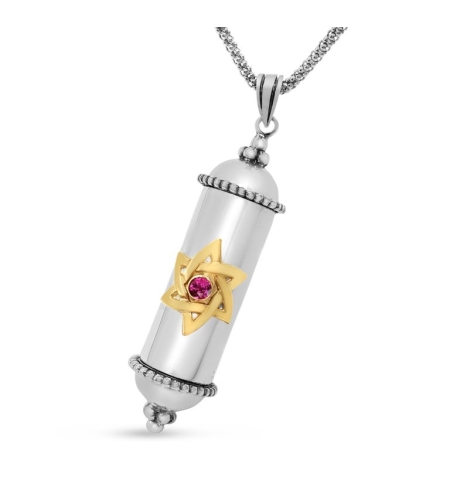 Sterling Silver Amulet Mezuzah Pendant Gold Star of David with Ruby