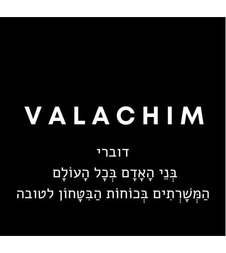 כרטיס VU7 כוחות הביטחון