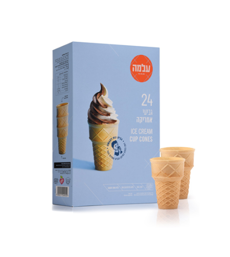 גביע אמריקה - 24 יח'