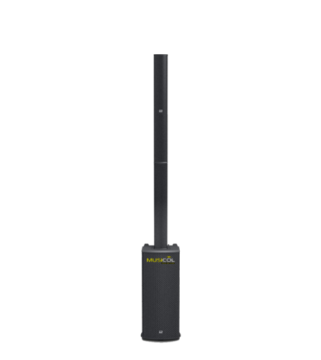 מערכת קולונה מוגברת LD-SYSTEMS LDMAUI11G2