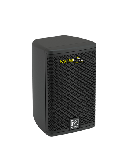 רמקול פסיבי 5.25 MARTIN AUDIO A55
