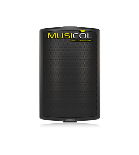 רמקול 6 שנאי קו להתקנות TANNOY AMS-6ICT