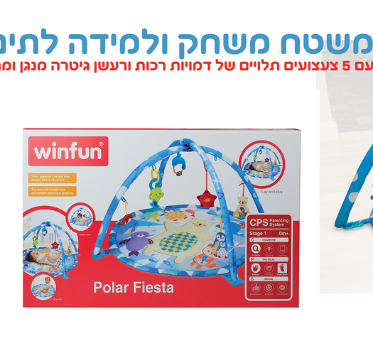 אוניברסיטה דב קוטב 