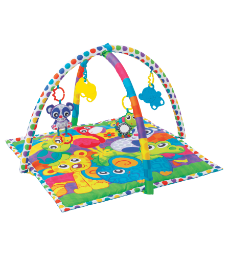 אוניברסיטה playgro