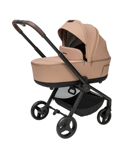 בייסיק 2025 - מוקה