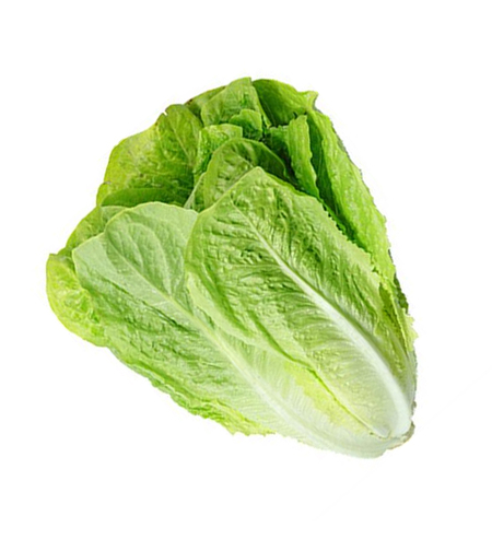 עלי חסה - 5 יחידות