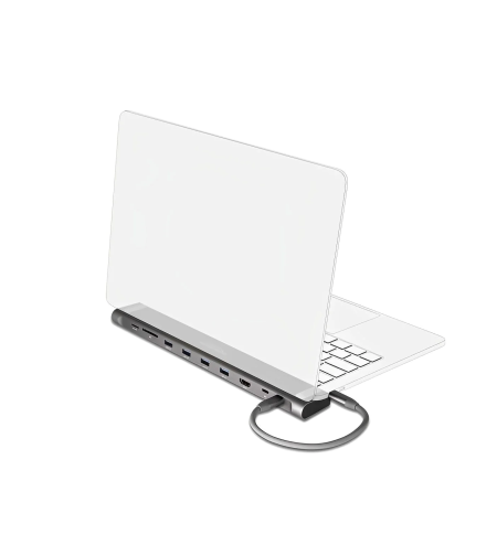 Delock USB Type-C Docking Station 10 Ports D87748