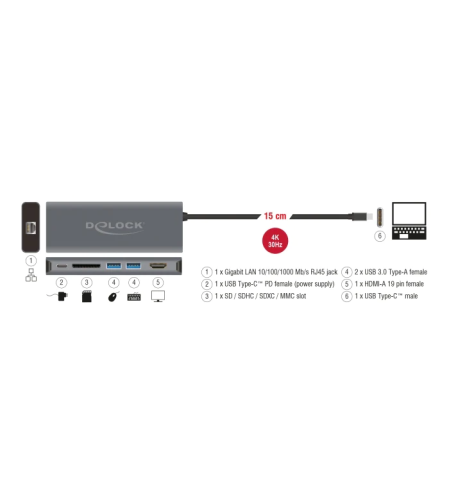 DELOCK USB Type-C™ Docking Station D87721
