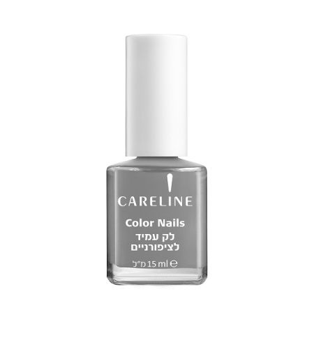 Color Nails לק עמיד אפור 41