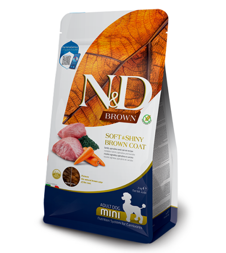 N&D אן די 2 ק