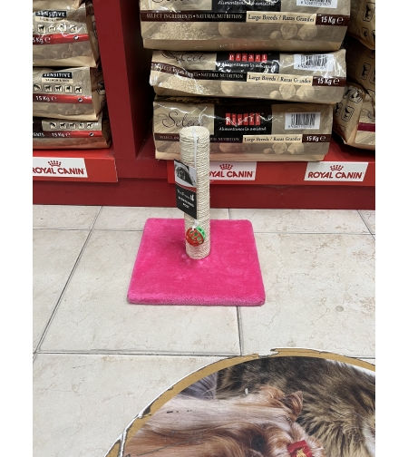 מתקן גירוד לחתול קטן