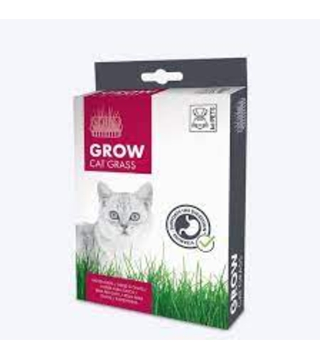 ערכת דשא לחתול