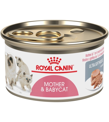 שימור רויאל קנין אמא וחתלתולים 195 גרם - Royal canin mother and babycat