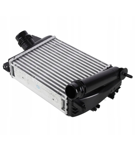 אינטרקולר רנו קליאו 1.2מ13