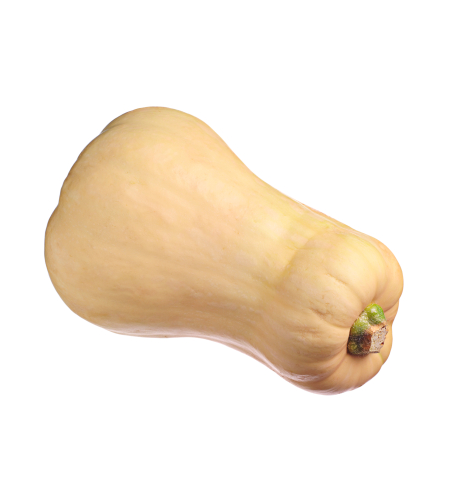 דלורית