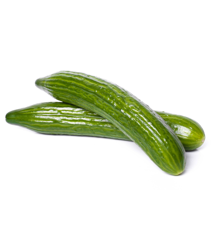 מלפפון