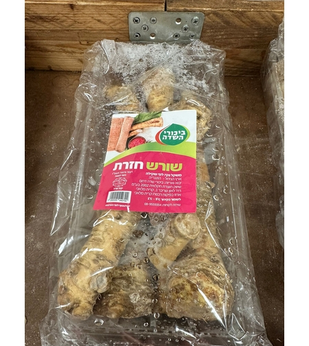 חזרת