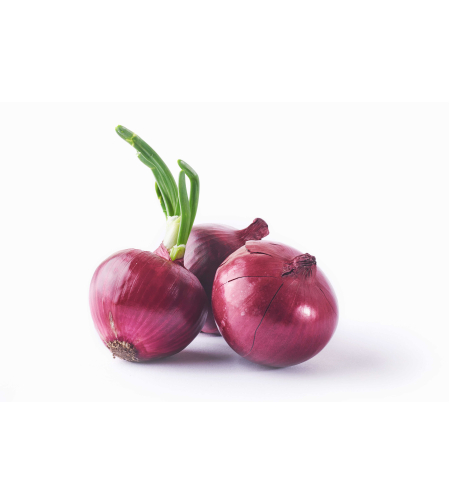 בצל סגול