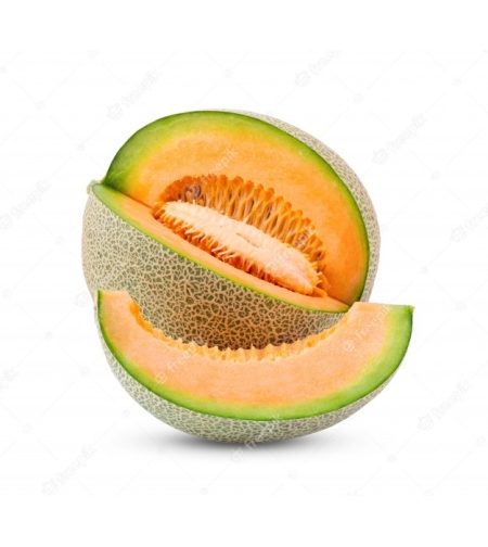 מלון