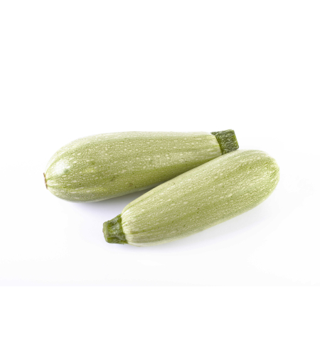 קישוא