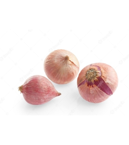בצל שאלוט