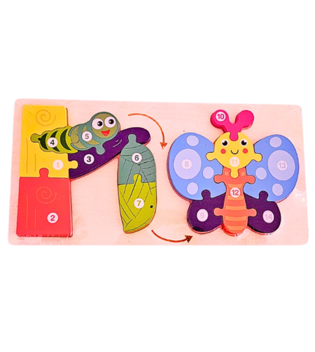 بازل مراحل تطور الفراشة