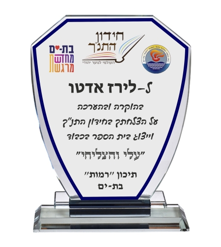 מגן זכוכית מעוצב רמות