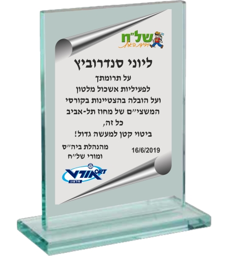 מגן זכוכית מלבני