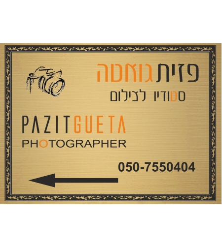 שלט