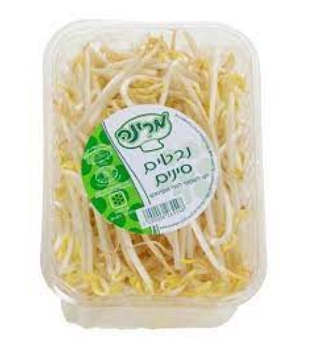 נבטים