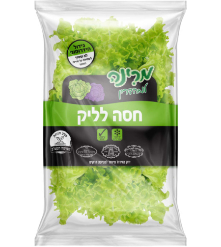 חסה לאליק