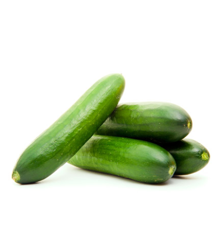 מלפפון