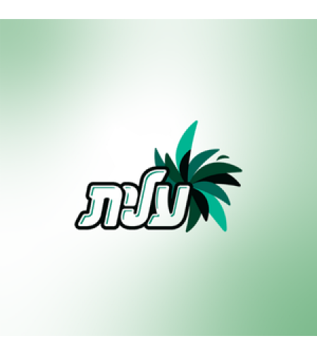עלית