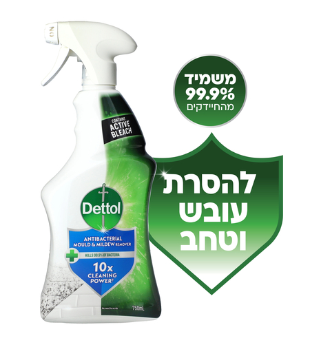 דטול תרסיס לניקיון עובש 750 מ