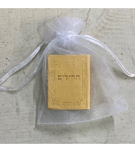 תהילים כיס קטן צבע זהב