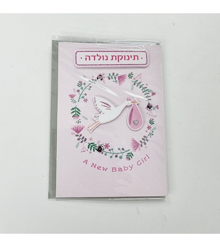כ'ב SN הולדת בת חסידה