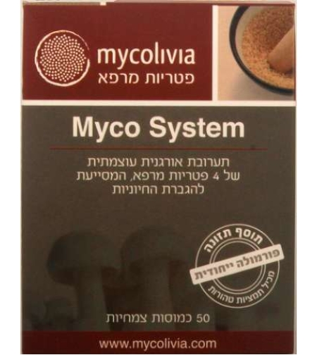 מיקו סיסטם - שילוב פטריות מרפא Myco System