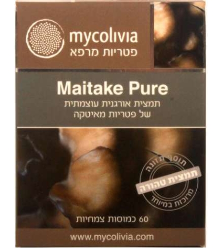 מאיטקה פיור - פטריית המרפא מאיטקה Maitake Pure