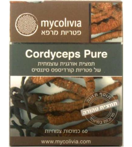קורדיספס פיור - פטריית הקורדיספס Cordyceps Pure