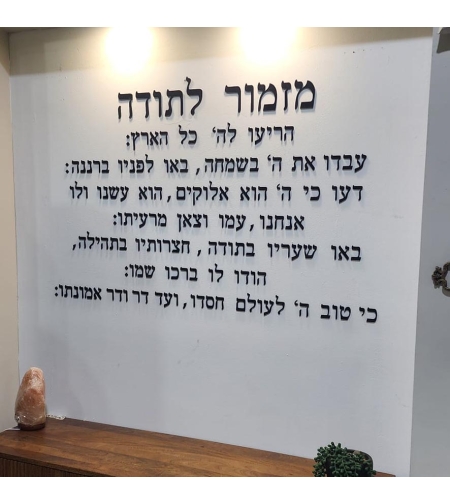 תמונה  חיתוך לייזר 1055