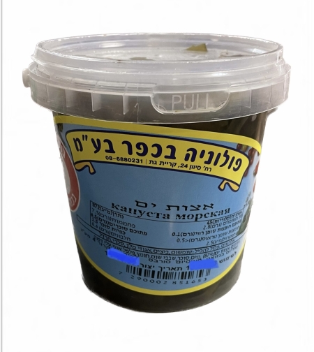 אצות ים