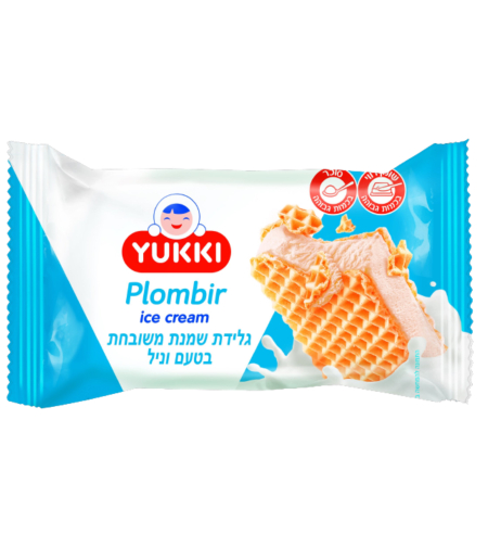 גלידה שמנת משובחת בטעם וניל עם וופל