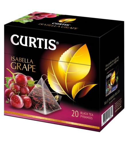 Curtis isabella grape 20 pyramids