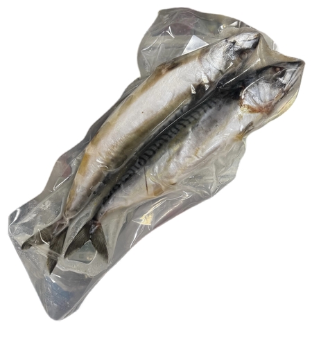 Свежемороженая скумбрия(крупная)