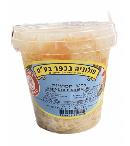 כרוב חמוציות